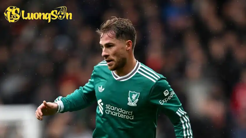 Alexis Mac Allister chưa thể bùng nổ như mùa giải trước Alexis Mac Allister chưa thể bùng nổ như mùa giải trước