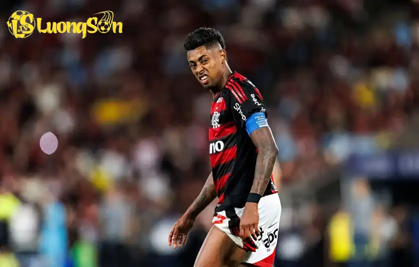 Flamengo được dự đoán sẽ có chiến thắng đậm trên sân Sport Recife Flamengo được dự đoán sẽ có chiến thắng đậm trên sân Sport Recife
