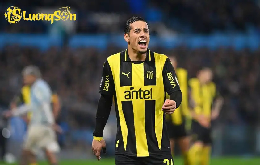 Penarol phần nào được đánh giá cao hơn so với Liverpool